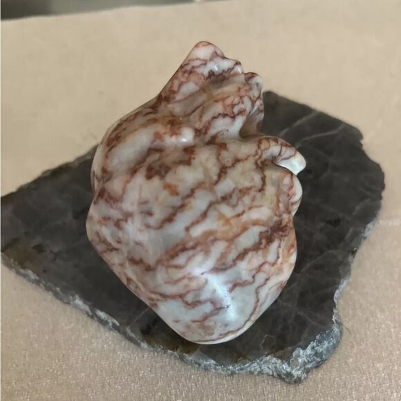 Hand Carved Red Vein Jasper Anatomical Human Heart Decor with Stand - Picture 7 of 16